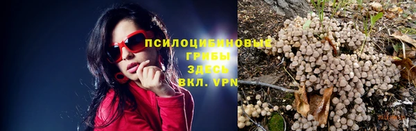 герыч Аркадак