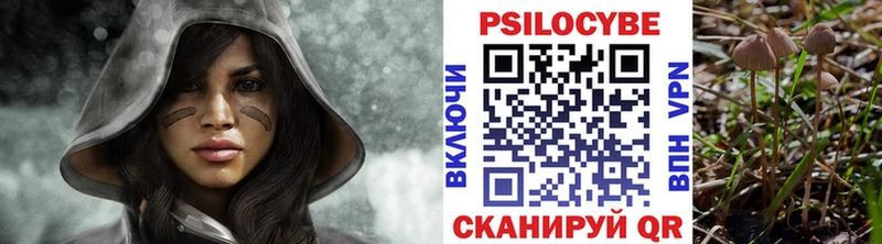 Галлюциногенные грибы Cubensis  купить  цена  Удачный 